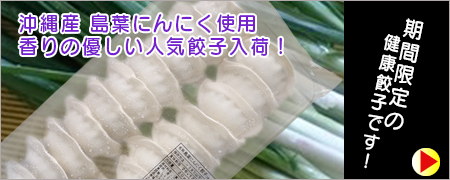 島葉にんにく餃子　期間限定販売