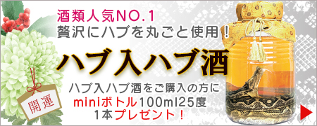 ハブ入りハブ酒キャンペーン