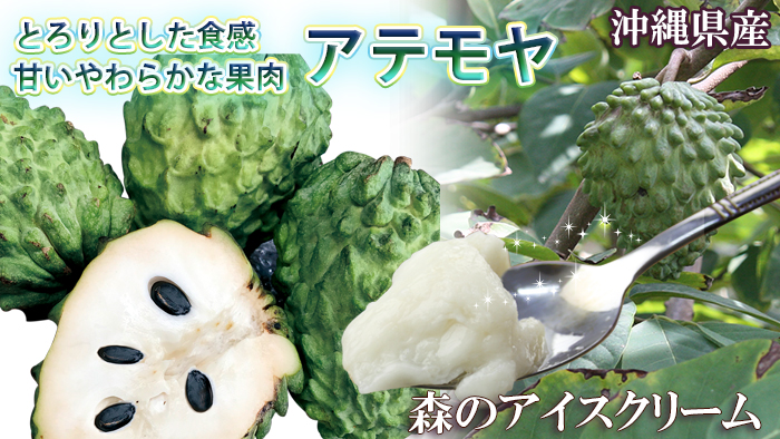 沖縄産アテモヤ
