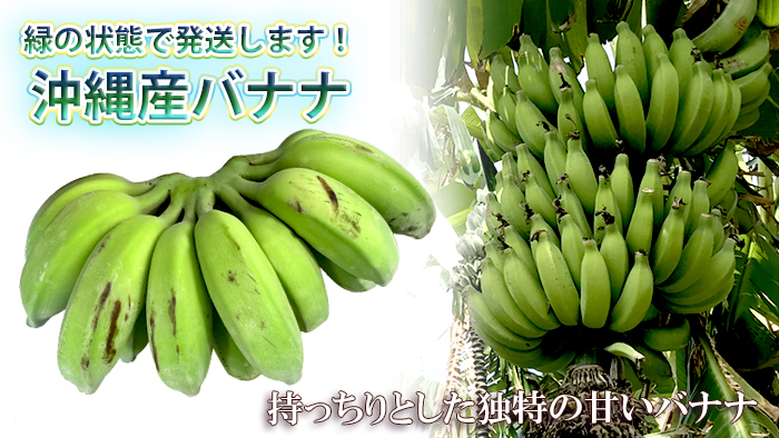 沖縄県産バナナ　カテゴリー