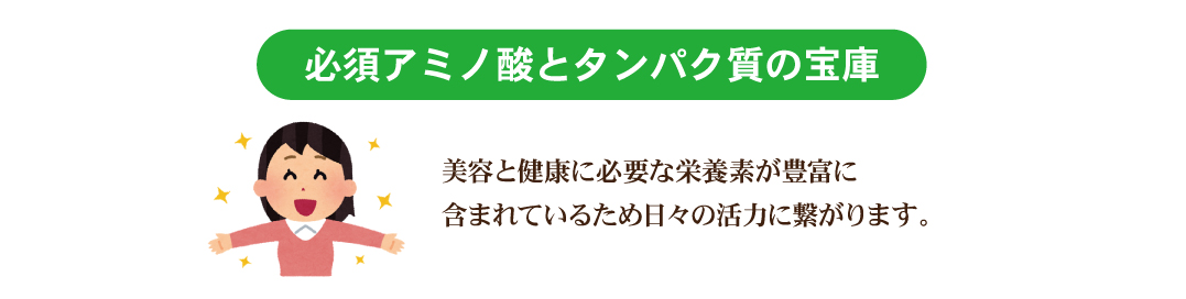 必須アミノ酸とタンパク質の宝庫！