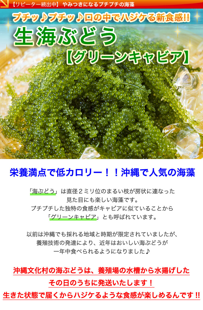 沖縄県産 海ぶどう