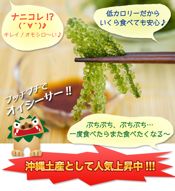 沖縄県産 海ぶどう