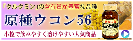 島の彩り市場　原種ウコン56
