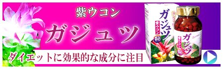 島の彩り市場　紫ウコン ガジュツ