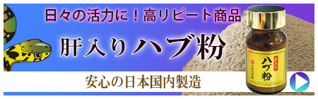 島の彩り市場　ハブ粉　肝入り