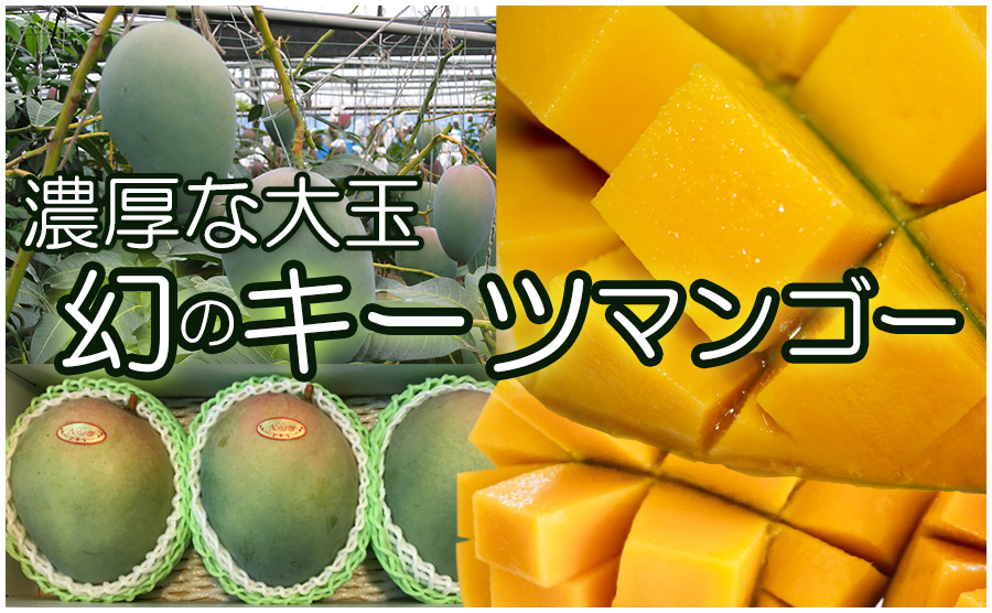 沖縄産キーツマンゴー