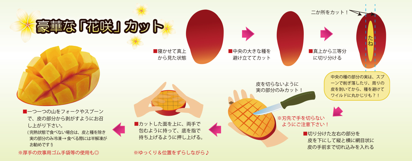 マンゴーの剥き方