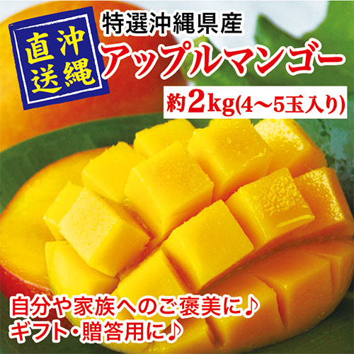 沖縄県産完熟マンゴー2kg