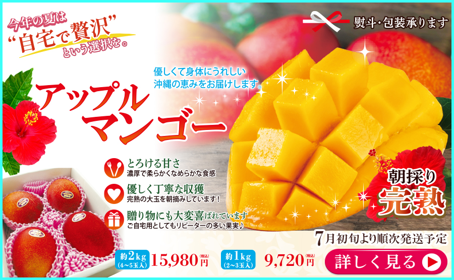 1■沖縄産完熟マンゴー