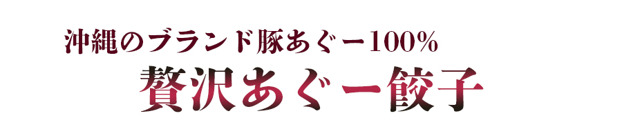 ブランド豚あぐー100% 贅沢あぐー餃子4個セット