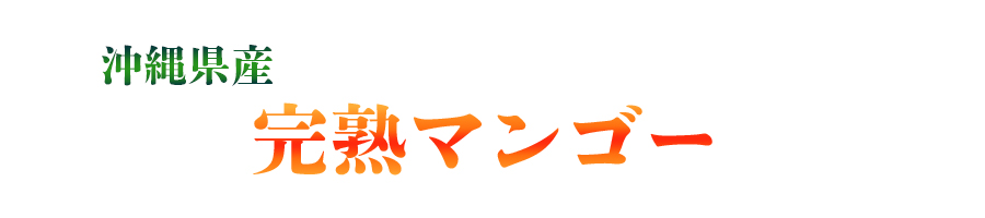 1沖縄産完熟マンゴー