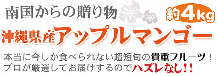 沖縄完熟マンゴー4kg
