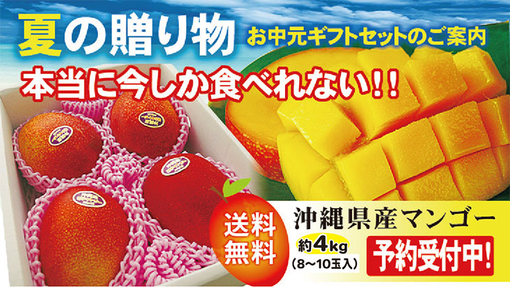 予約販売！！ギフト・贈答用】特撰沖縄県産濃厚完熟アップルマンゴー約4kg 【送料無料】 お届けは7月初旬頃から