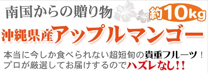 沖縄県産完熟マンゴー10kg