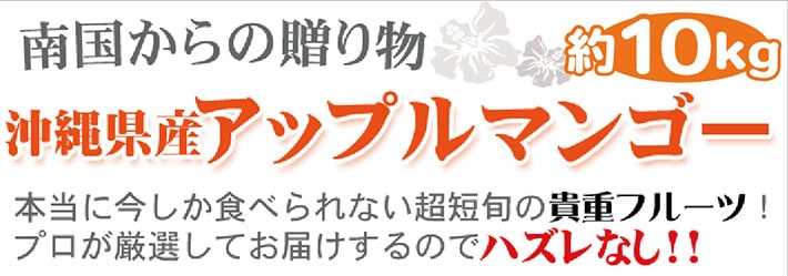 沖縄県産完熟マンゴー１０kg