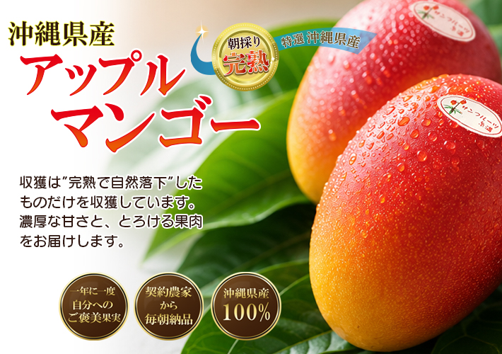 沖縄県産アップルマンゴー