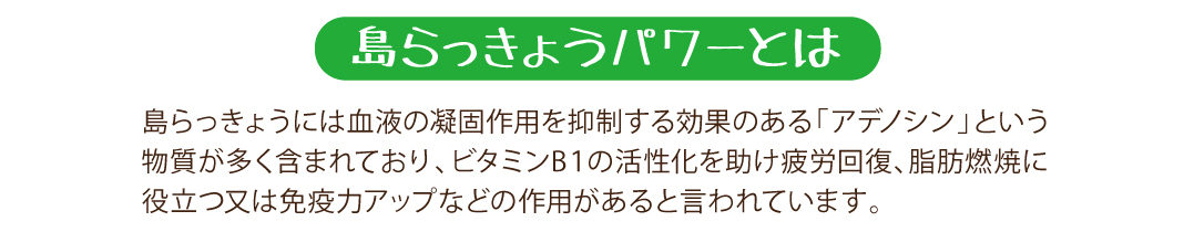 美味しいだけじゃない!島らっきょうの栄養素について。疲労回復や脂肪燃焼・免疫力アップに効果があると言われる「アデノシン」