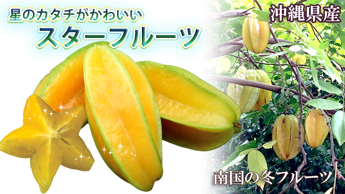 沖縄産スターフルーツ