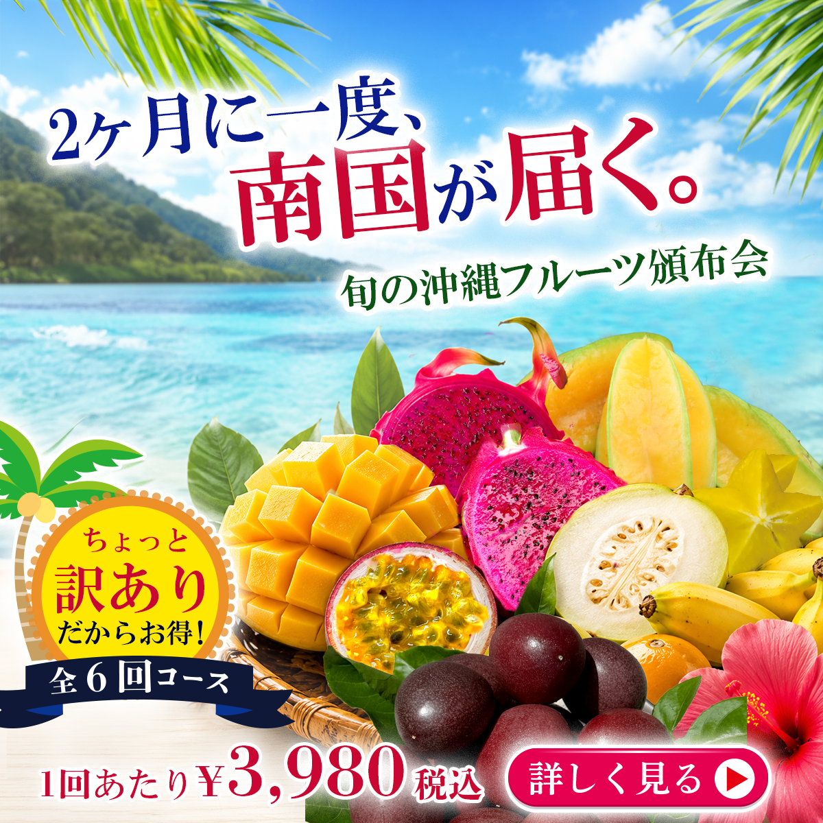 沖縄の訳ありフルーツ頒布！特価でお楽しみ頂けます。
