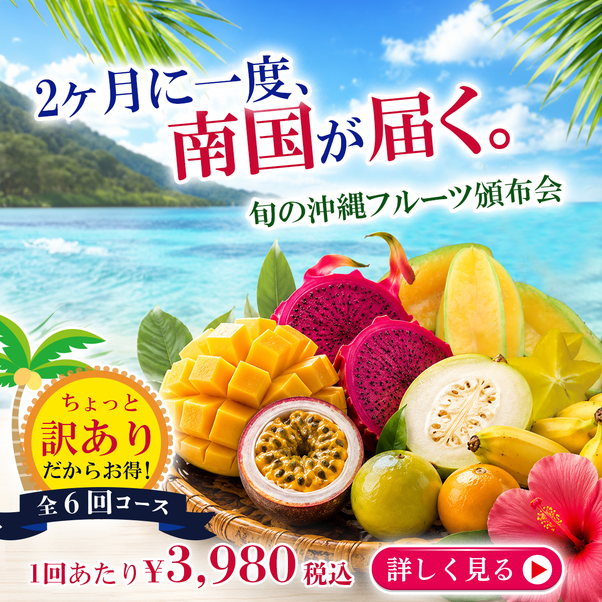 沖縄の訳ありフルーツ頒布!特価でお楽しみ頂けます。