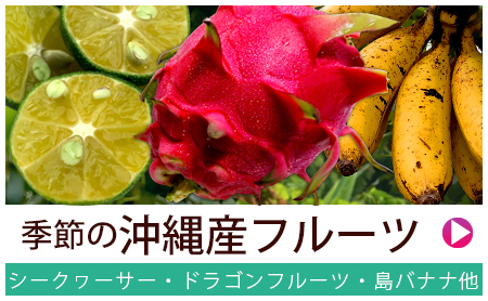 農家直送・沖縄産フルーツ