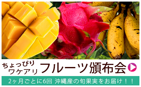 お得なワケアリ・沖縄産フルーツ頒布会