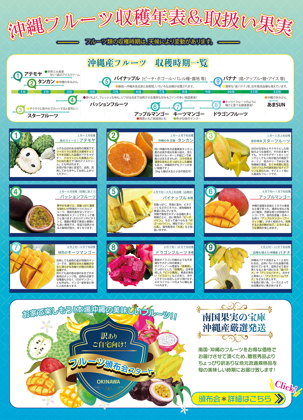 沖縄産訳ありフルーツ頒布会