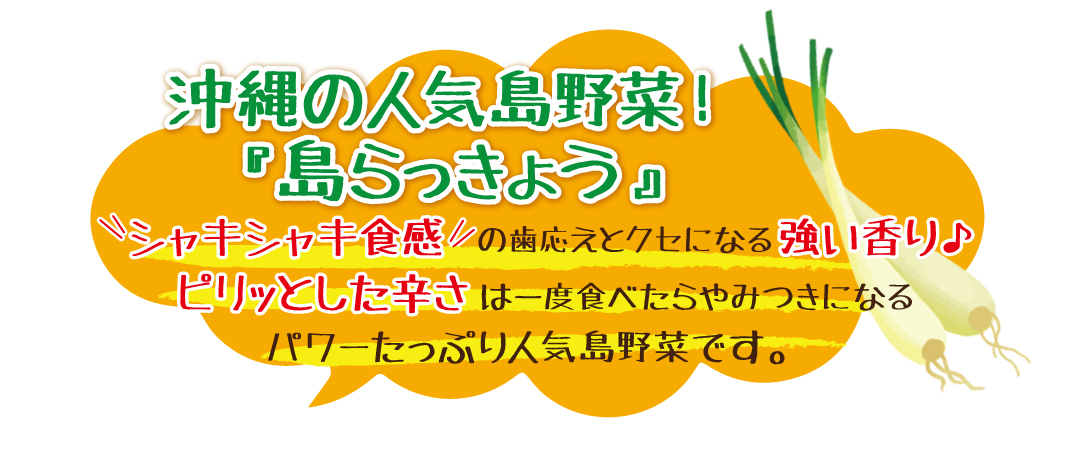 沖縄の人気島野菜！「島らっきょう」